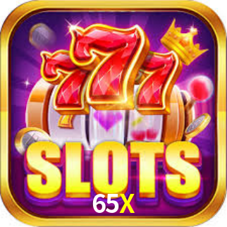 Segurança e privacidade no APP 65X